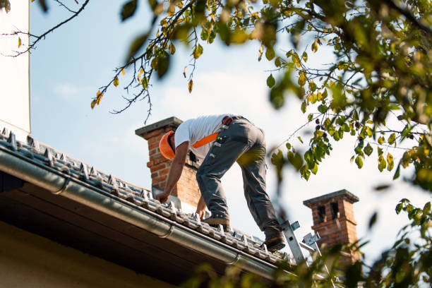 Best Cold Roofs  in Chase, PA