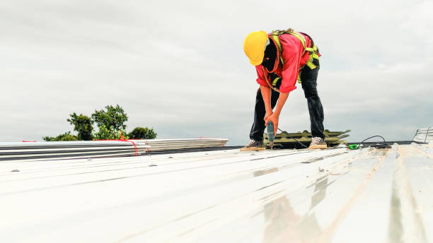 Best Roof Ventilation Installation  in Chase, PA