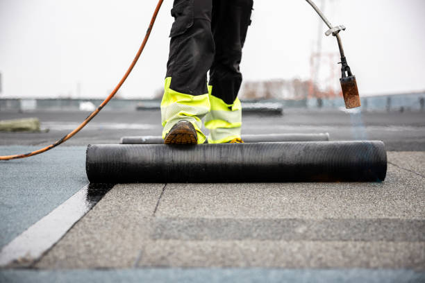 Best Skylight Installation and Repair  in Chase, PA